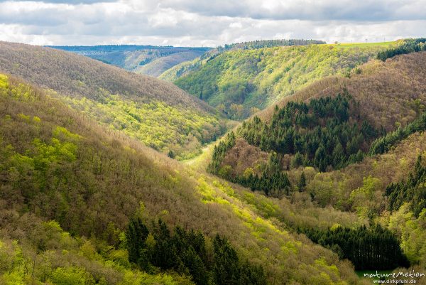 Ehrbachtal, Blick von Burg Ehrenburg, Ehrbachtal, Brodenbach (Mosel), Deutschland