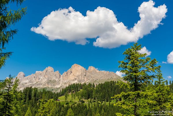 Rosengarten, Rotwand, Blick vom Labyrinthsteig am Latemar, Karersee, Südtirol, Italien