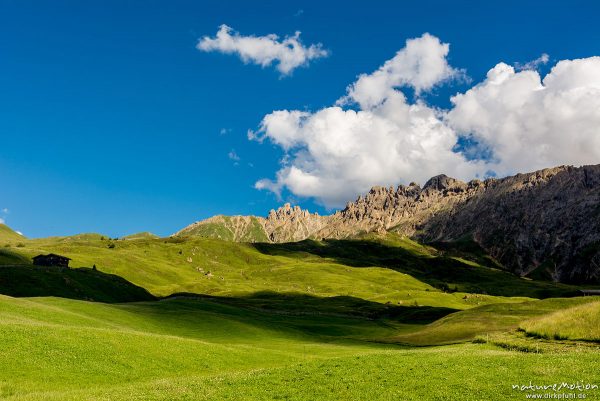 Rosszähne, Almwiesen, Wolken, Seiseralm (Südtirol), Italien