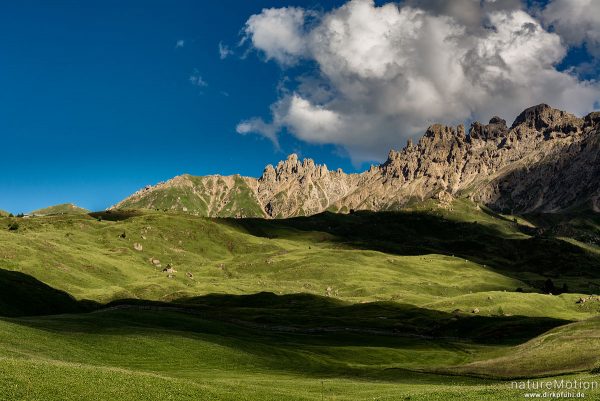 Rosszähne, Almwiesen, Wolken, Seiseralm (Südtirol), Italien