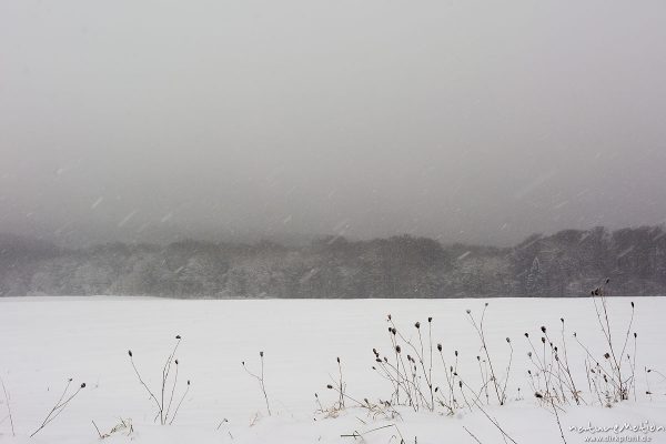 Schneefall, Kerstlingeröder Feld, Göttingen, Deutschland