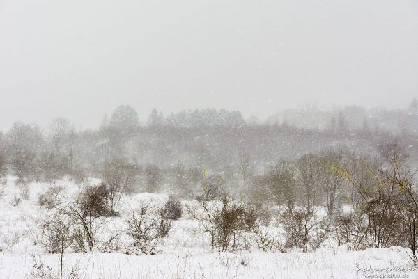 Schneefall, Schneetreiben, Kerstlingeröder Feld, Göttingen, Deutschland