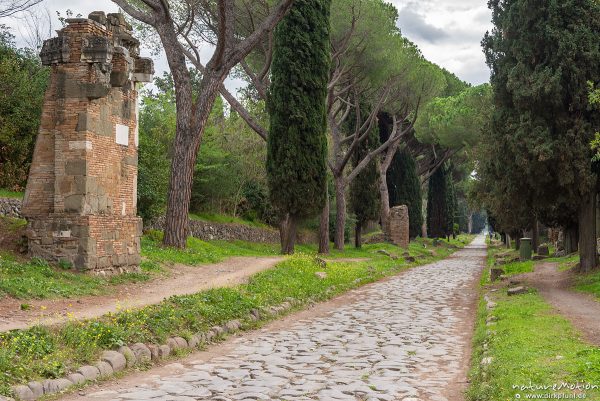 Ruinen antiker Grabmale, antikes Pflaster, Via Appia Antica, Rom, Italien