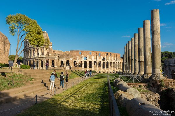 Colloseum, Säulen des Forum Romanum, Rom, Italien