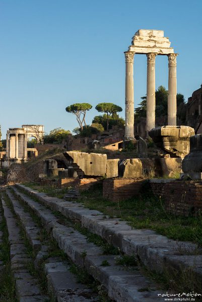 Forum Romanum, Rom, Italien