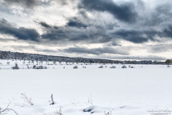Wiese mit Baumreihen, tief verschneit, dunkle Wolken, Kerstlingeröder Feld, Göttingen, Deutschland