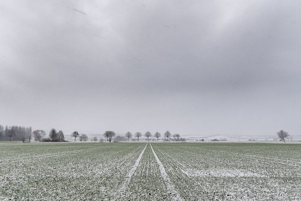leicht mit Schnee bedeckte Felder, Baumreihe an der B27, Leinetal südlich von Göttingen, Göttingen, Deutschland