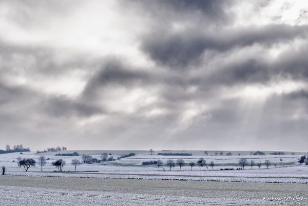 mit Schnee bedeckte Felder und Baumreihen, Lichtstrahlen, Diemardener Warte, Göttingen, Deutschland