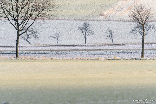 mit Schnee bedeckte Felder und Baumreihen,  Diemardener Warte, Göttingen, Deutschland