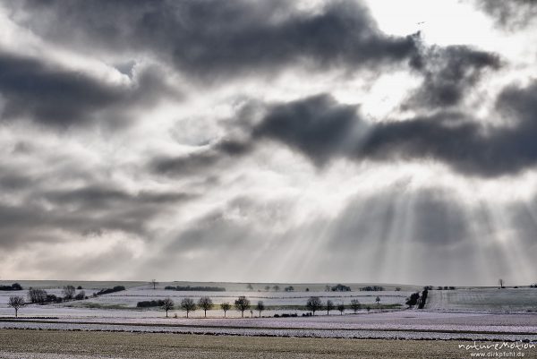 mit Schnee bedeckte Felder und Baumreihen, Lichtstrahlen, Diemardener Warte, Göttingen, Deutschland