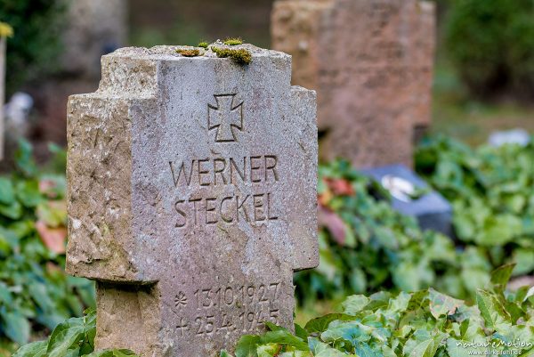 Soldatengräber, Grabsteine in Reih und Glied, Gefallene aus den letzten Kriegstagen des 2. Weltkriegs, Stadtfriedhof, Göttingen, Deutschland