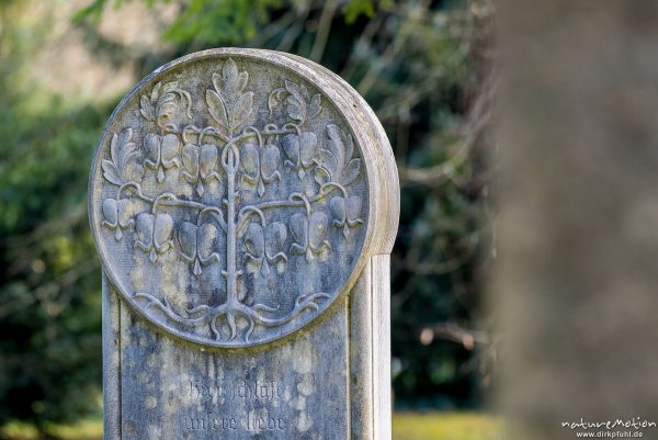 Grabstein mit Relief eines Tränenden Herzenz (Pflanze) im Jugendstil, Inschrift "Hier schläft unsere Liebe", Stadtfriedhof, Göttingen, Deutschland