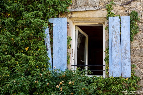 Fenster mit blauen Fensterläden, Fassade mit Laub bewachsen, Chassiers, Frankreich
