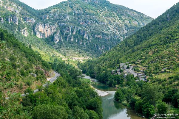 Hautes Rieves, Wanderung entlang der Ufer des Tarn zwischen La Malene und Saint-Chely-du-Tarn, Gorges du Tarn, Florac, Frankreich