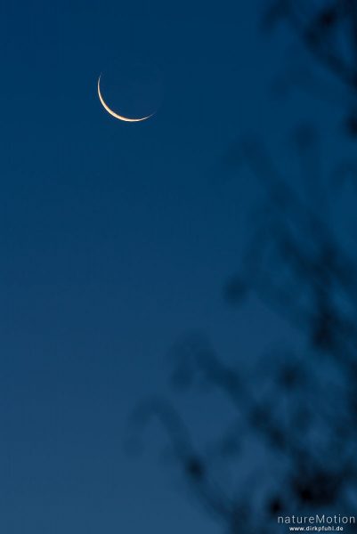 Mondsichel bei Sonnenaufgang, Göttingen, Deutschland