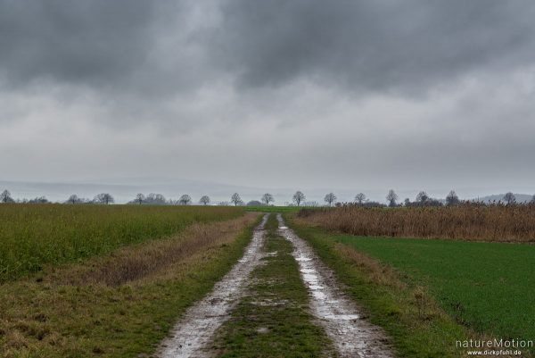 Regenwolken über Agrarlandschaft, Feldweg, Gartemühle, Göttingen, Deutschland