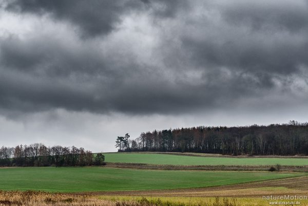 Regenwolken über Agrarlandschaft, Felder, Gartemühle, Göttingen, Deutschland