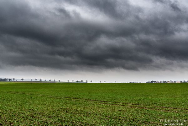 Regenwolken über Agrarlandschaft, Baumreihe, Gartemühle, Göttingen, Deutschland