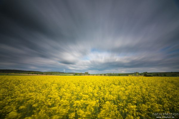 Wolken ziehen über blühendes Rapsfeld, Feldmark südlich von Göttingen, Göttingen, Deutschland