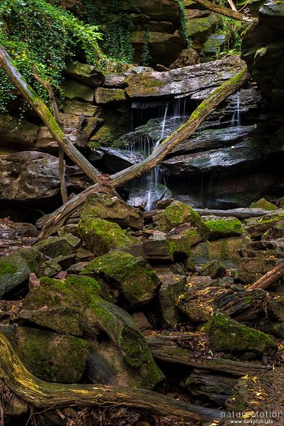 Bachlauf über Sandsteinfelsen, Margarethenschlucht, Neckargerach, Deutschland