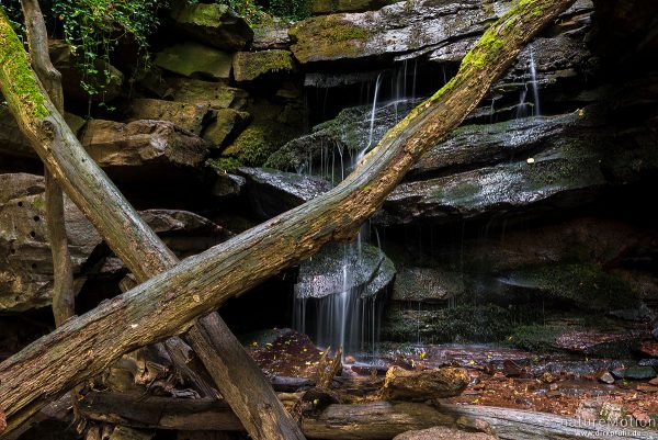 Bachlauf über Sandsteinfelsen, Margarethenschlucht, Neckargerach, Deutschland