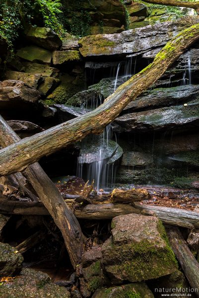 Bachlauf über Sandsteinfelsen, Margarethenschlucht, Neckargerach, Deutschland