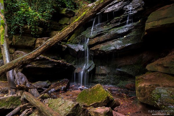 Bachlauf über Sandsteinfelsen, Margarethenschlucht, Neckargerach, Deutschland