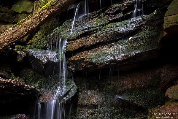 Bachlauf über Sandsteinfelsen, Margarethenschlucht, Neckargerach, Deutschland