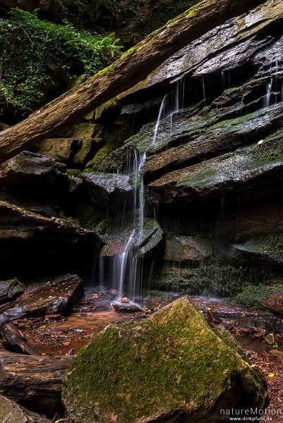 Bachlauf über Sandsteinfelsen, Margarethenschlucht, Neckargerach, Deutschland