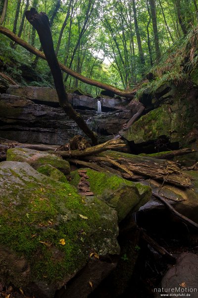 Bachlauf über Sandsteinfelsen, Margarethenschlucht, Neckargerach, Deutschland