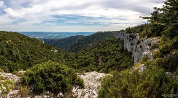 Kalkklippen, Forêt des cèdres du Luberon, Bonnieux - Provence, Frankreich