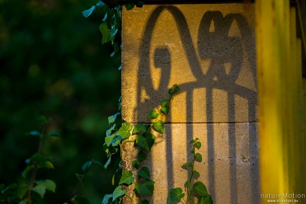 Schatten eines gusseisernen Tores auf dem Torpfosten, St-Massian, Apt - Provence, Frankreich