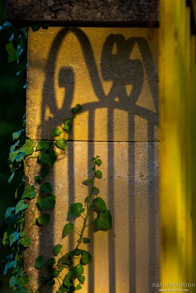 Schatten eines gusseisernen Tores auf dem Torpfosten, St-Massian, Apt - Provence, Frankreich