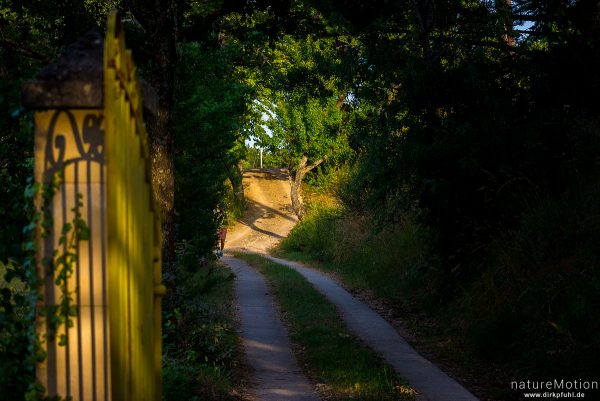 Weg, Schatten eines gusseisernen Tores auf dem Torpfosten, St-Massian, Apt - Provence, Frankreich