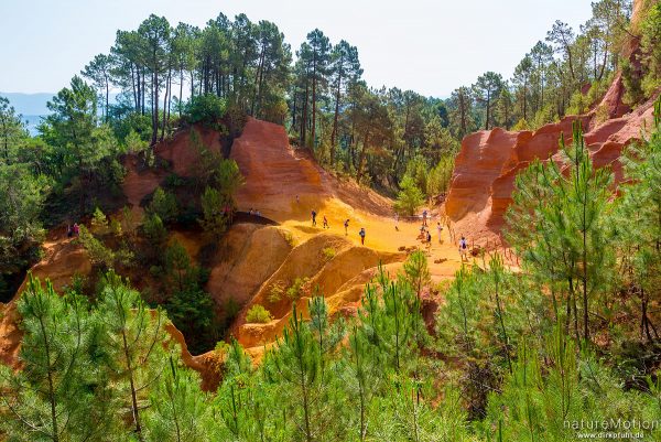 Ockersteinbruch, Felsen und Sand in verschiedenen Rot, Braun und Gelbtönen, dazwischen grüne Nadelbäume, Roussillon - Provence, Frankreich