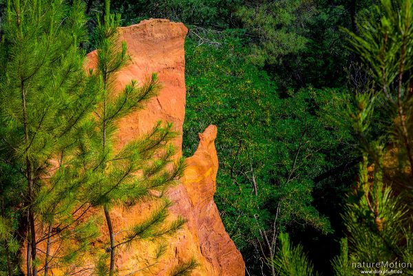 Ockersteinbruch, Felsen und Sand in verschiedenen Rot, Braun und Gelbtönen, dazwischen grüne Nadelbäume, Roussillon - Provence, Frankreich