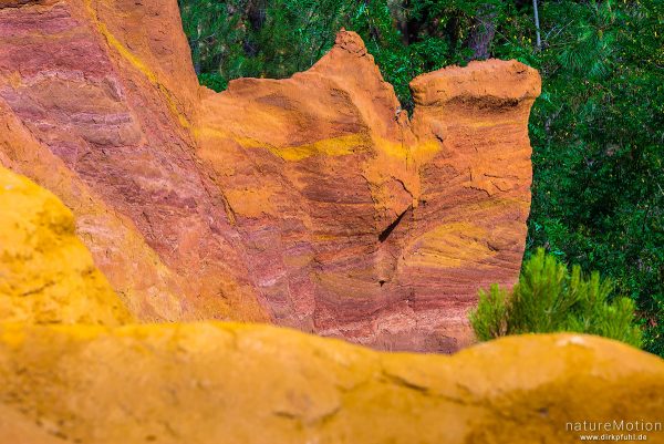 Ockersteinbruch, Felsen und Sand in verschiedenen Rot, Braun und Gelbtönen, dazwischen grüne Nadelbäume, Roussillon - Provence, Frankreich