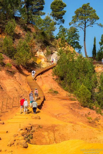 Ockersteinbruch, Felsen und Sand in verschiedenen Rot, Braun und Gelbtönen, dazwischen grüne Nadelbäume, Roussillon - Provence, Frankreich