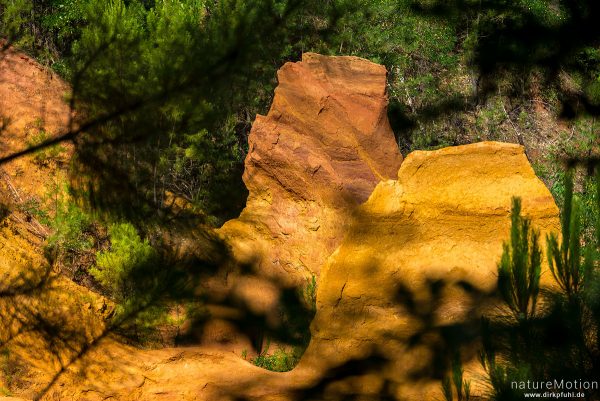 Ockersteinbruch, Felsen und Sand in verschiedenen Rot, Braun und Gelbtönen, dazwischen grüne Nadelbäume, Roussillon - Provence, Frankreich