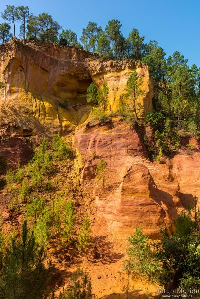 Ockersteinbruch, Felsen und Sand in verschiedenen Rot, Braun und Gelbtönen, dazwischen grüne Nadelbäume, Roussillon - Provence, Frankreich