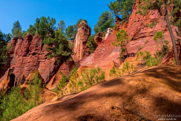 Ockersteinbruch, Felsen und Sand in verschiedenen Rot, Braun und Gelbtönen, dazwischen grüne Nadelbäume, Roussillon - Provence, Frankreich