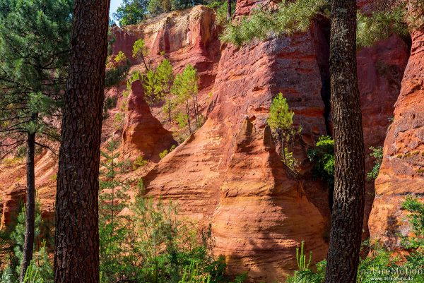 Ockersteinbruch, Felsen und Sand in verschiedenen Rot, Braun und Gelbtönen, dazwischen grüne Nadelbäume, Roussillon - Provence, Frankreich