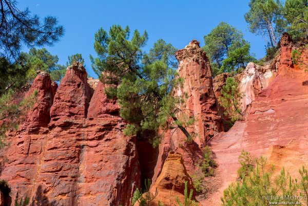 Ockersteinbruch, Felsen und Sand in verschiedenen Rot, Braun und Gelbtönen, dazwischen grüne Nadelbäume, Roussillon - Provence, Frankreich