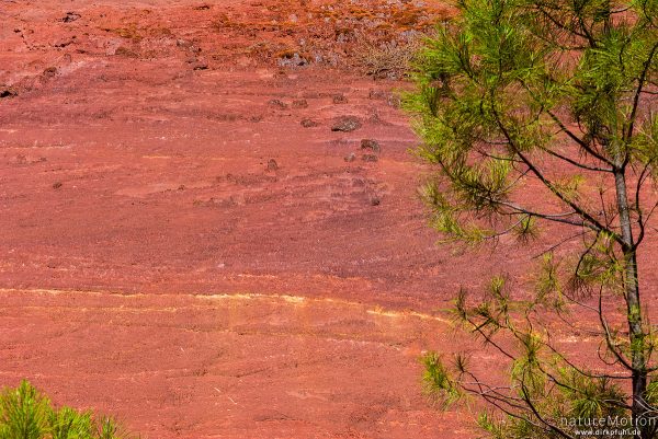 Ockersteinbruch, Felsen und Sand in verschiedenen Rot, Braun und Gelbtönen, dazwischen grüne Nadelbäume, Roussillon - Provence, Frankreich