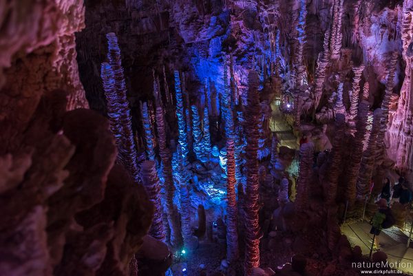 Stalagtiten und Stalagmiten in der Tropfsteinhöhle Aven Amand, Florac, Frankreich