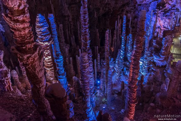 Stalagtiten und Stalagmiten in der Tropfsteinhöhle Aven Amand, Florac, Frankreich