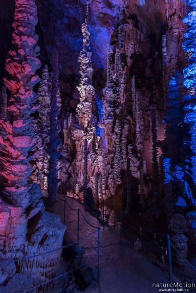 Stalagtiten und Stalagmiten in der Tropfsteinhöhle Aven Amand, Florac, Frankreich