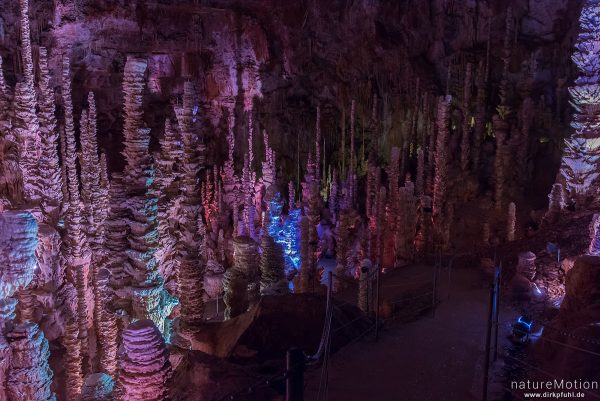 Stalagtiten und Stalagmiten in der Tropfsteinhöhle Aven Amand, Florac, Frankreich