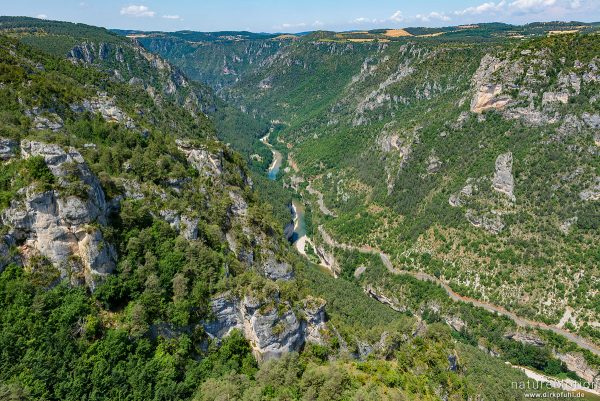 Gorges du Tarn, Blick vom Roc des Hourtous, La Malene, Frankreich