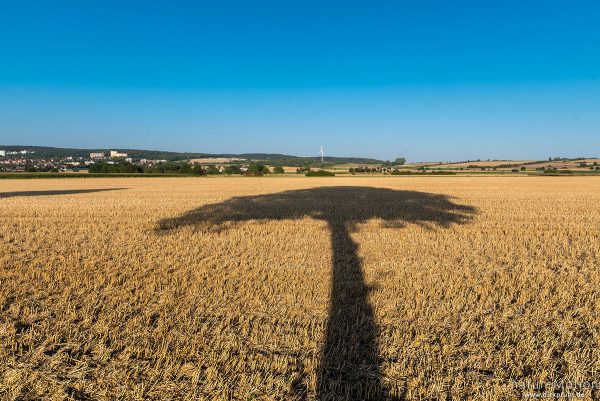 Schatten eines Baumes auf abgeerntetem Feld, Leinetal, Göttingen, Deutschland